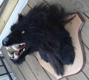 head-display-of-a-wall-mounted-werewolf-1[1]